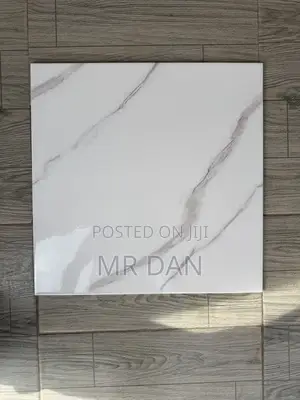 40 X 40 Polished Tiles