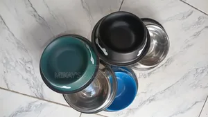 Mini Eating Bowls for Cats and Dods