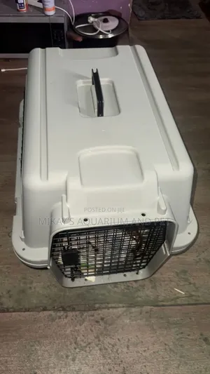 Durable Plastic Dog and Cats Travellers