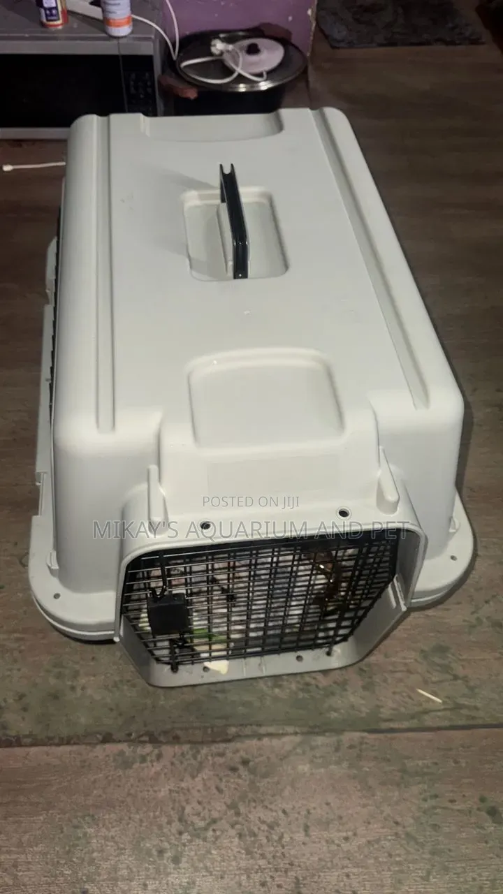 Durable Plastic Dog and Cats Travellers