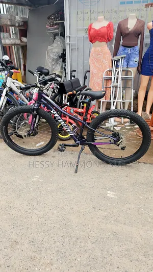 Afordable Home Use Bycicle