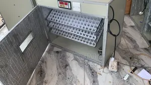 Automatic Incubator, 528 Capacity