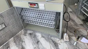 Automatic Incubator, 528 Capacity