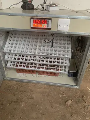 Automatic Incubator, 528 Capacity