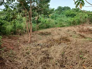 Plots of Land for Sale at Sokoban-Konkoli