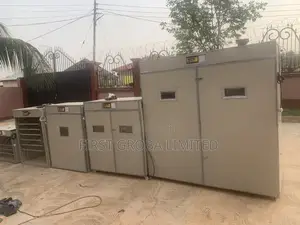 Automatic Incubator, 5280 Capacity