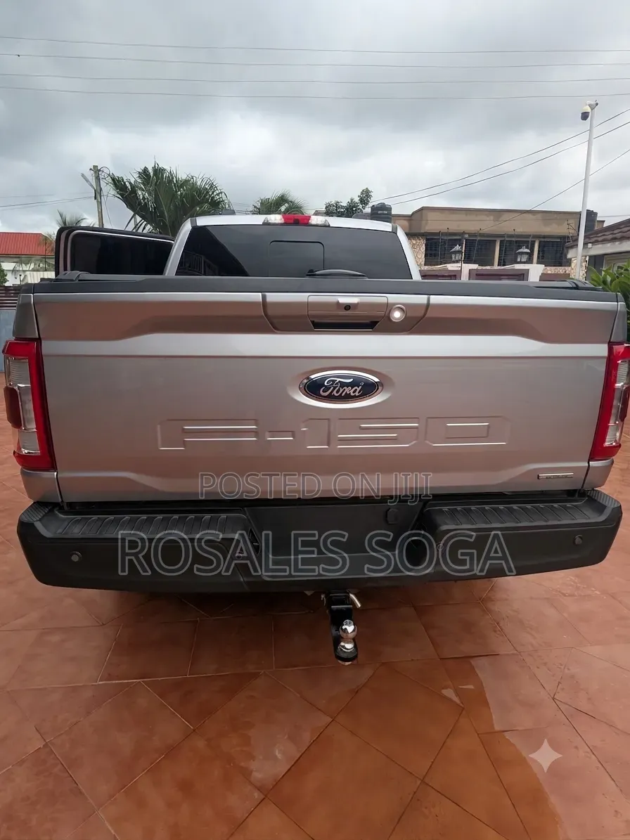 Ford F-150 2021 Gray