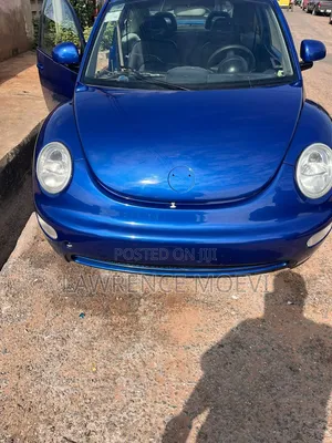 Volkswagen Beetle 1999 Blue