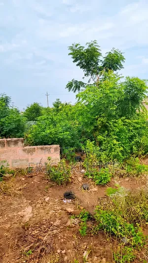 Four Fenced Plots of Land for Sale in Dawhenya