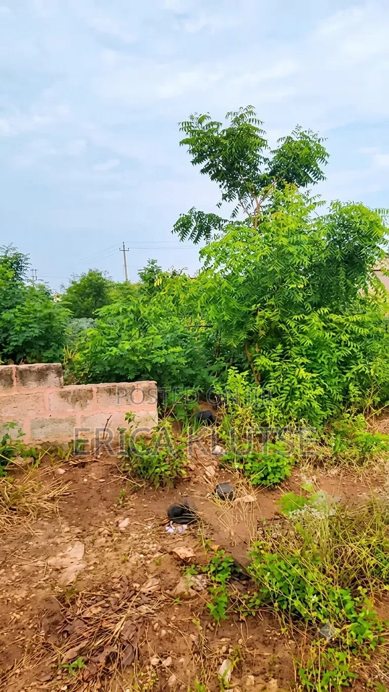 Four Fenced Plots of Land for Sale in Dawhenya