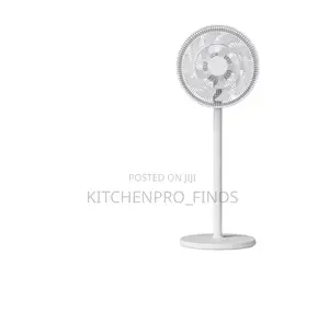 Remote Fan (12inch)