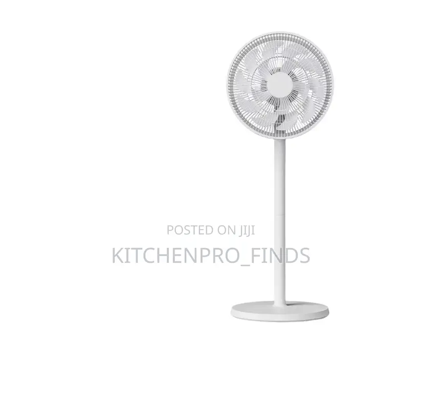 Remote Fan (12inch)