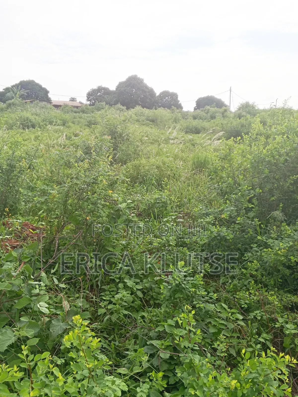 Four Fenced Plots of Land for Sale in Dawhenya