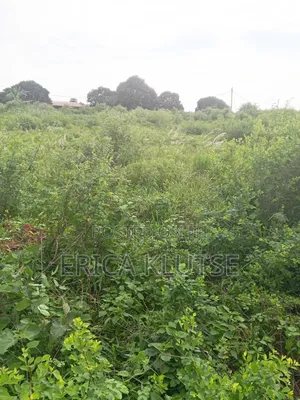Four Fenced Plots of Land for Sale in Dawhenya