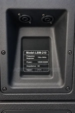 Martin Audio 210 Line Arrays
