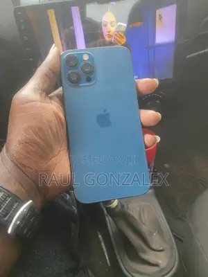 Apple iPhone 12 Pro Max 256 GB Gray