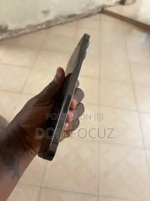 Apple iPhone 12 Pro Max 128 GB Gray