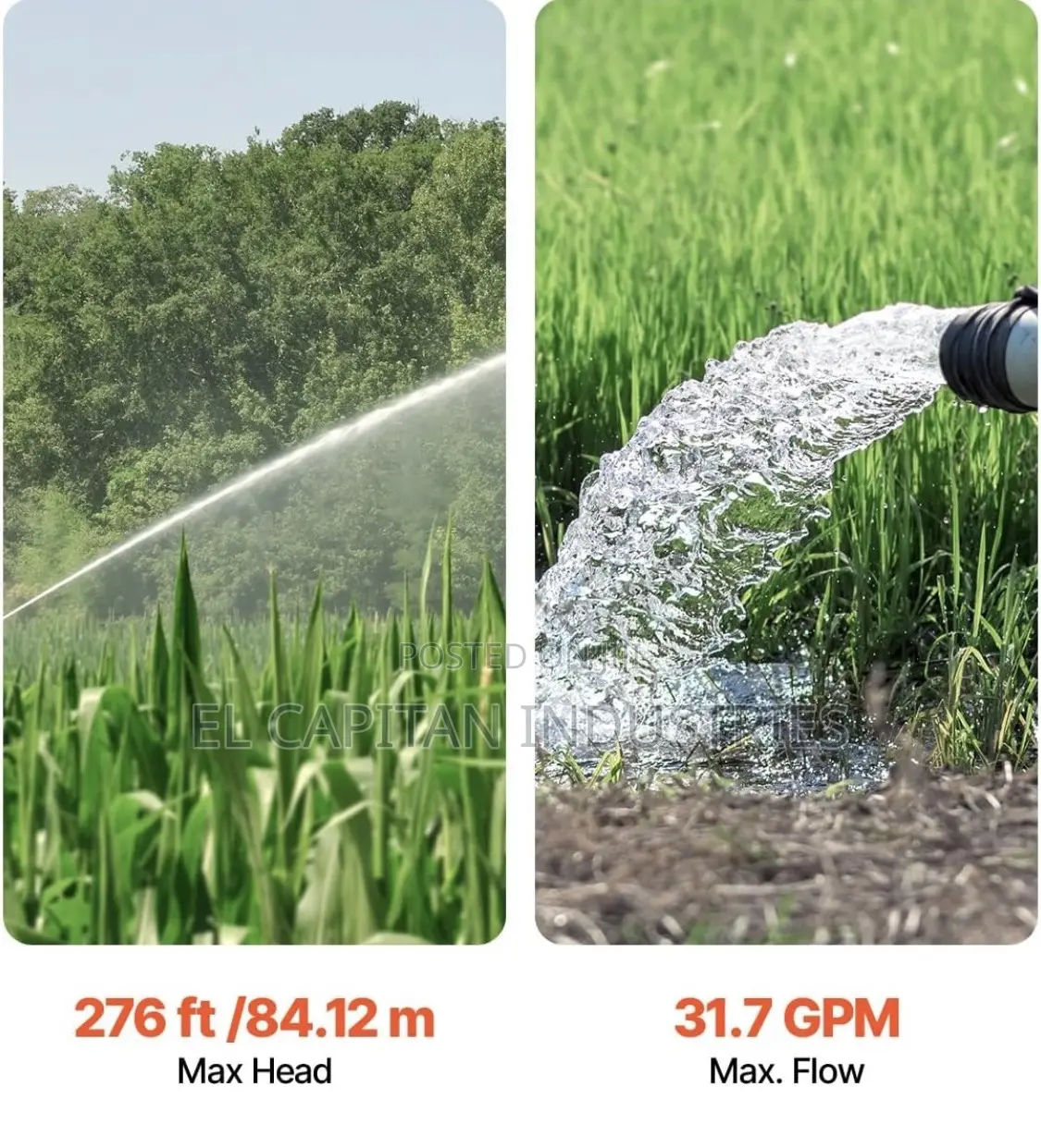 1.5 Hp Dongyin Submersible Pump