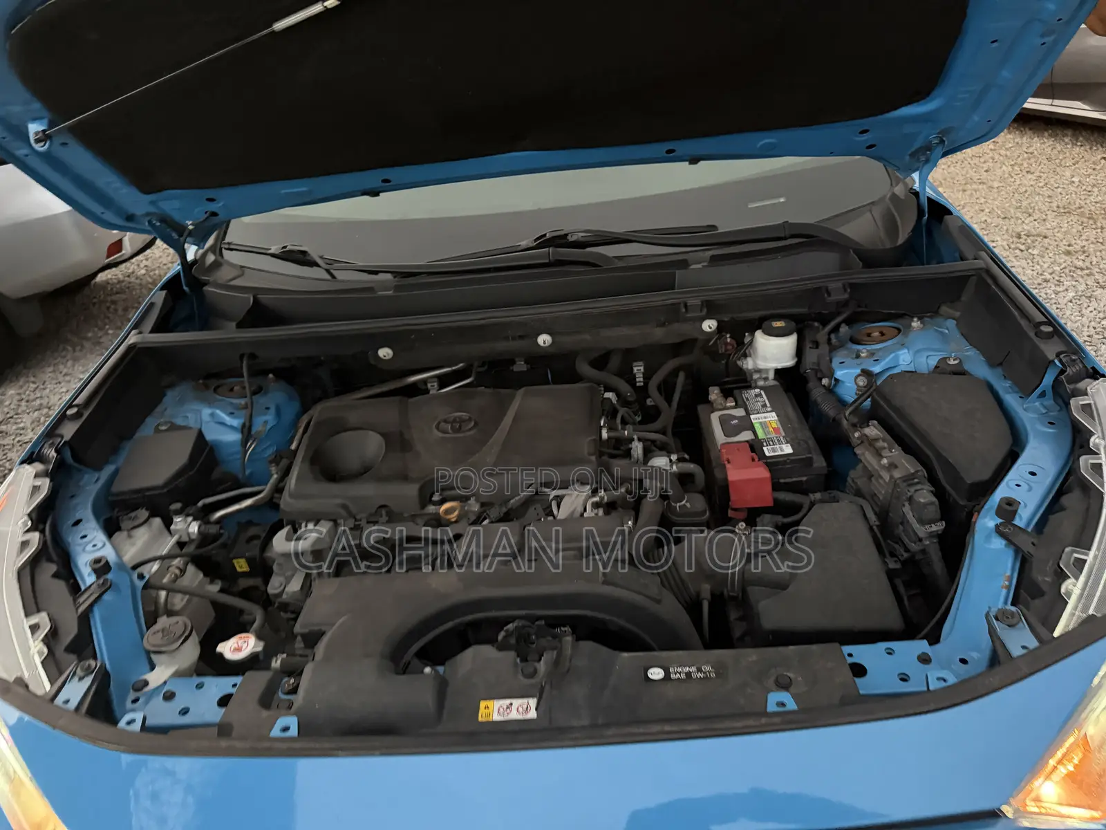 Toyota RAV4 XLE AWD 2019 Blue