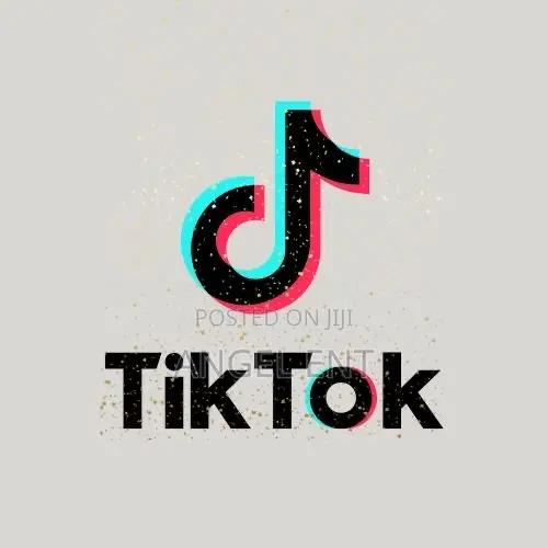 Usa Tiktok Accounts Available