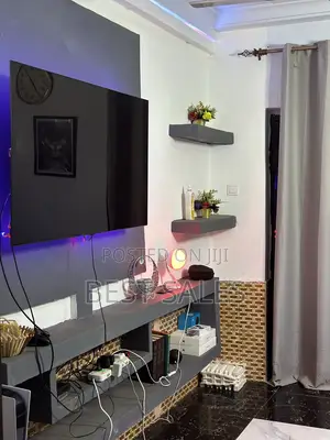 55 Inch Lg Oled Cx Tv for Sale