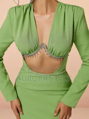 Ladies Dresses