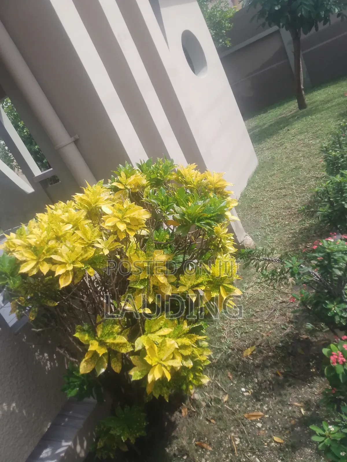 5bdrm House in Baatsona Total for rent