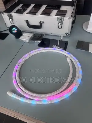 Dragon Woven Neon Light (3m)