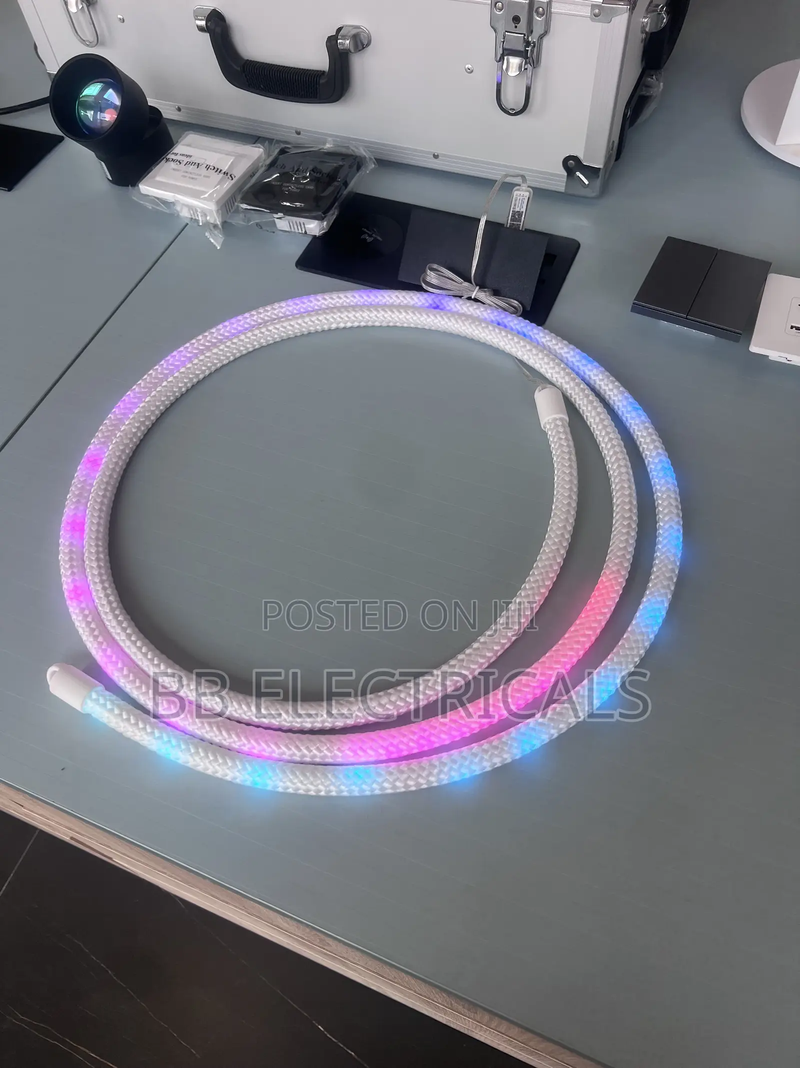 Dragon Woven Neon Light (3m)