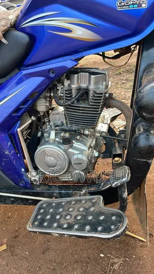 Tricycle 2026 Blue