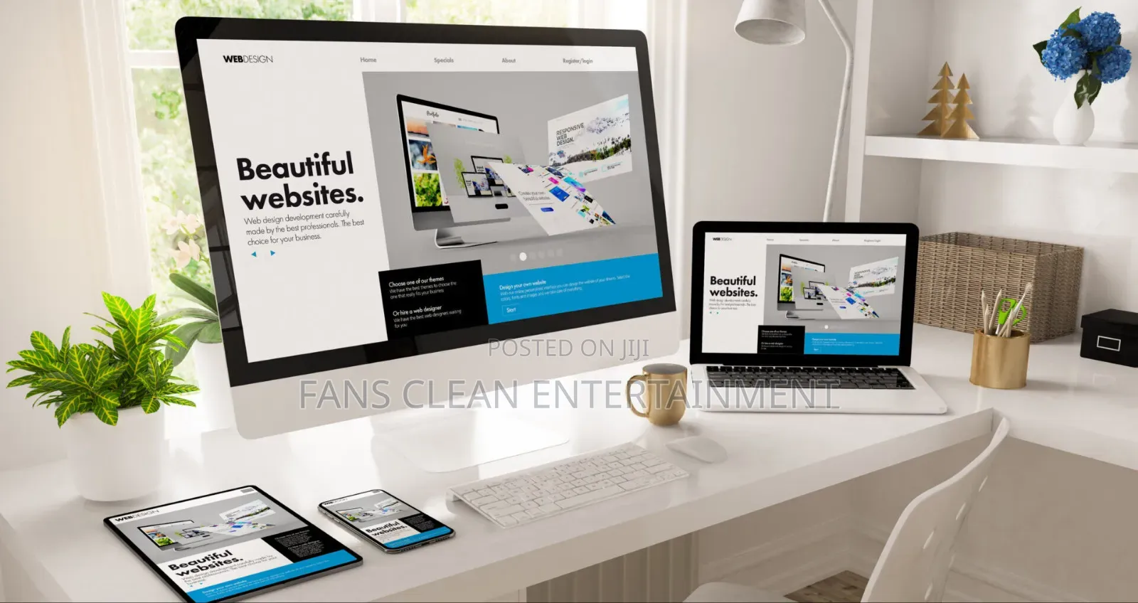 Professional Website Development With Three Years Hosting