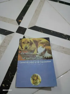 6-12 months Female Purebred Boerboel