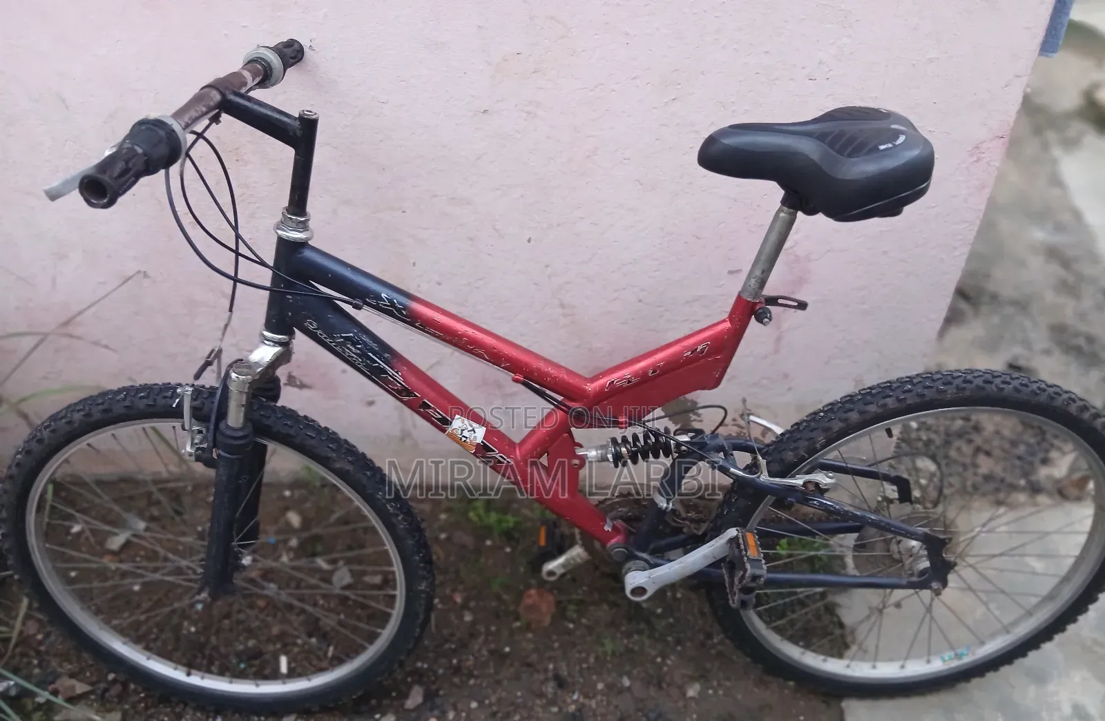 Active Mountain Bicycle
