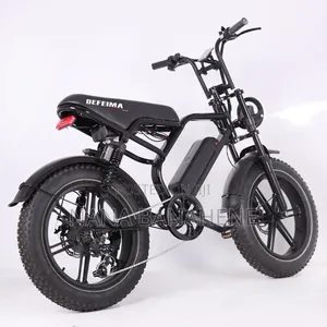 Defeima 20ah Electric Bike Perfect Delivery Bike