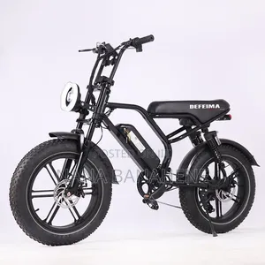 Defeima 20ah Electric Bike Perfect Delivery Bike