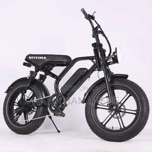 Defeima 20ah Electric Bike Perfect Delivery Bike