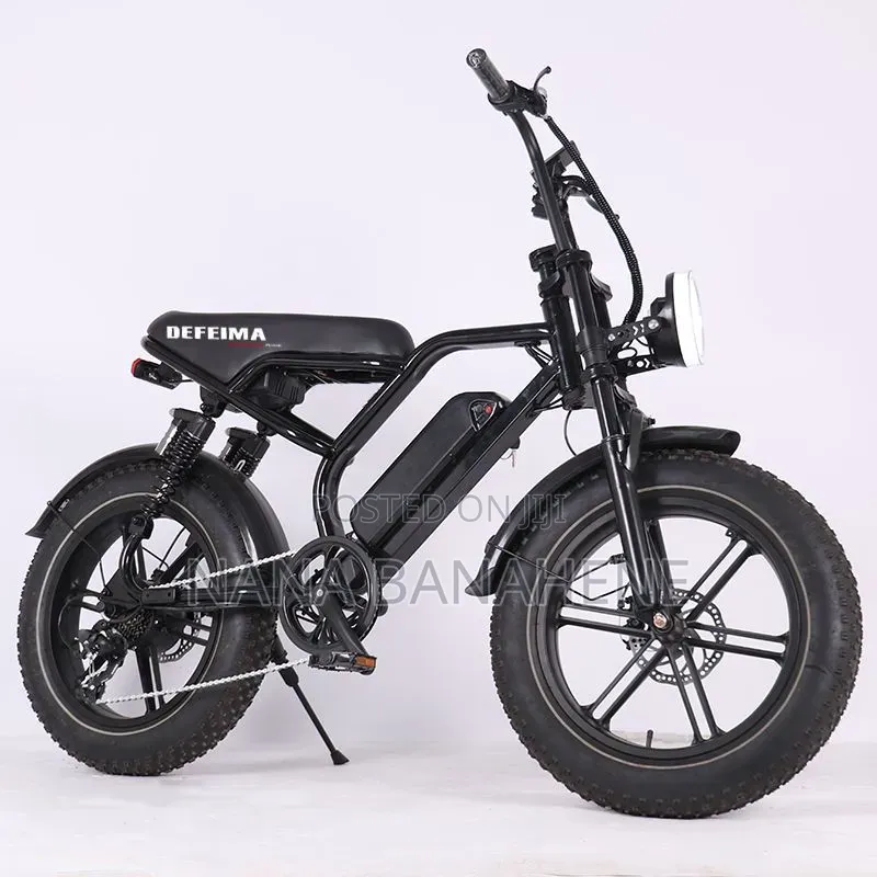 Defeima 20ah Electric Bike Perfect Delivery Bike