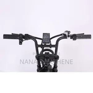 Defeima 20ah Electric Bike Perfect Delivery Bike