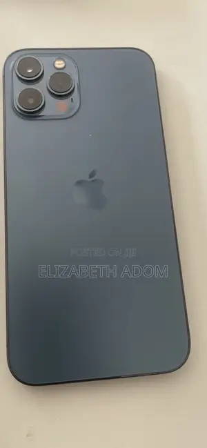Apple iPhone 12 Pro Max 256 GB Blue