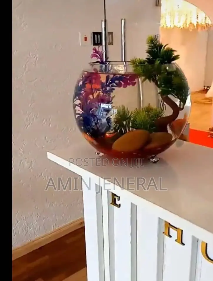 Table Top Aquarium
