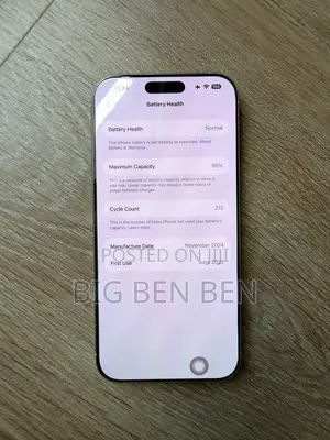 Apple iPhone 15 Pro Max 512 GB Silver