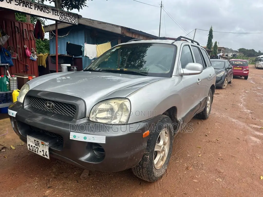 Hyundai Santa Fe 2005 Silver