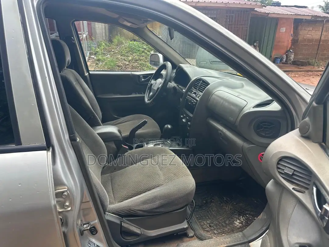 Hyundai Santa Fe 2005 Silver
