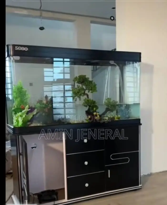 4 Feet Aquarium