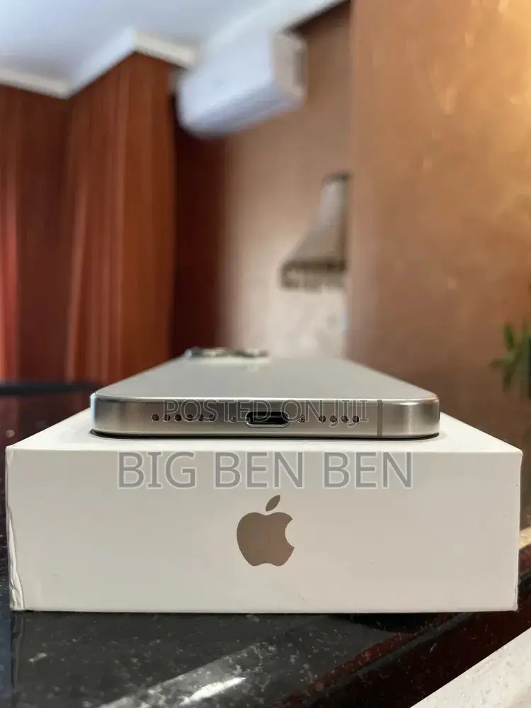 Apple iPhone 15 Pro Max 256 GB Silver