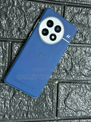 OnePlus 13 512 GB Blue