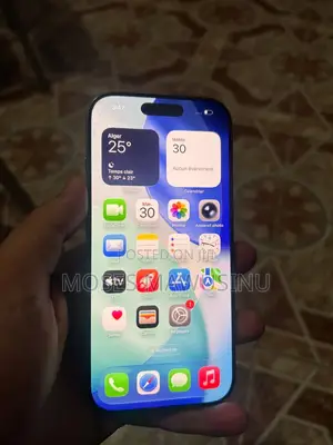 Apple iPhone 15 Pro Max 256 GB Gray