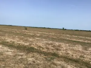 Prampram Airport City Offers Premium Estate Lands for Sale ! 