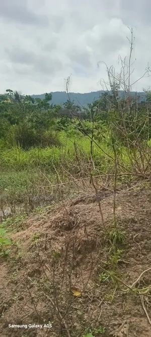 Half Plot of Land for Sale