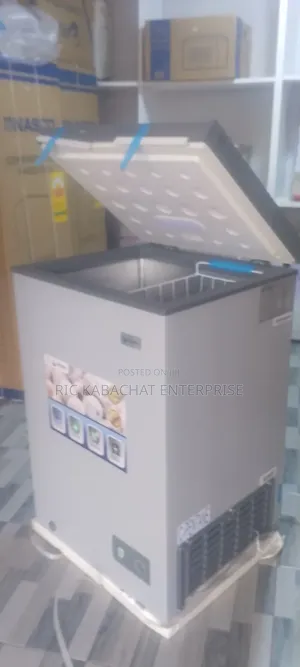 Chest Freezer Eco -Friendly 100 Litres